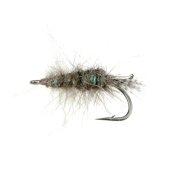 CDC Mysis Gray (409)