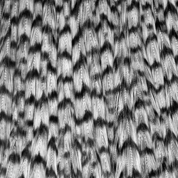 Wapsi Dry Fly Neck Hackle