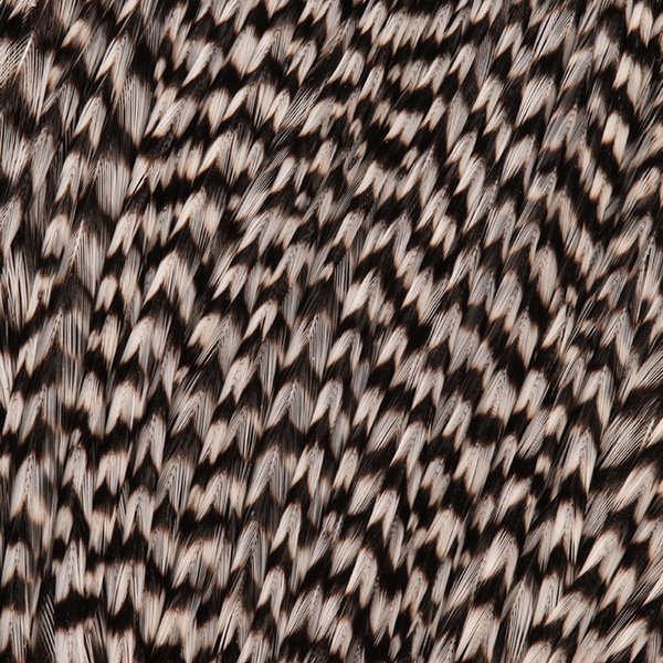 FFGene Howard Hackle tuppnackskinn #3
