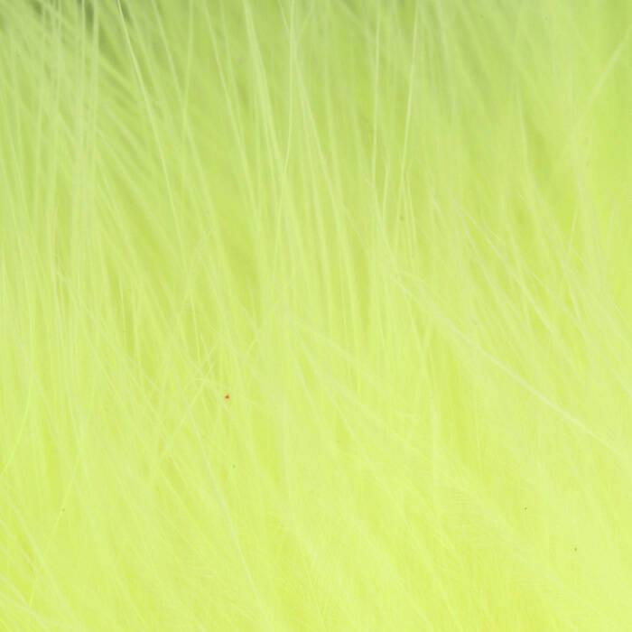 Fl. Yellow