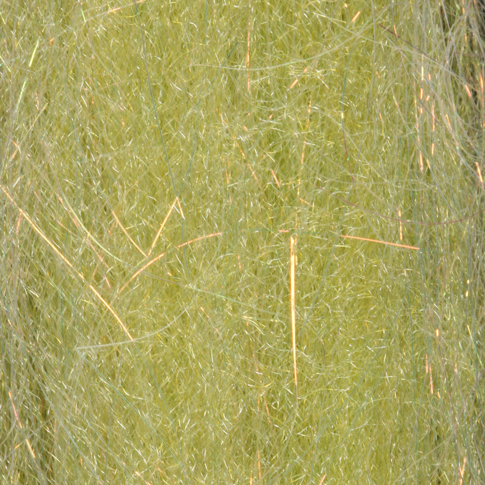 Wild Olive