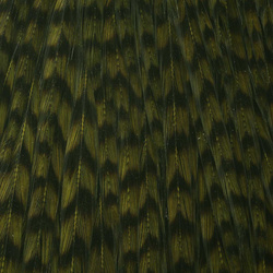 Ewing Top Capes Dyed