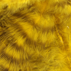 Hareline Grizzly mjuka hackelfjädrar