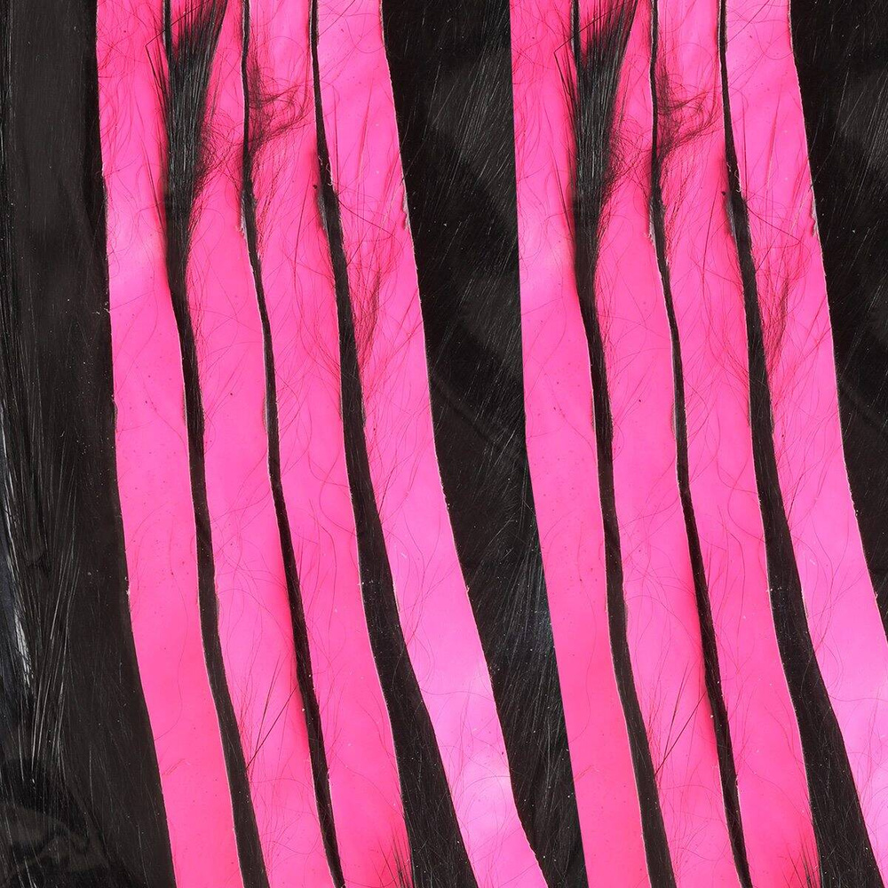 Black with Fl Pink Accent