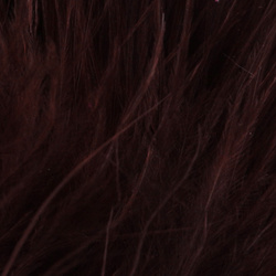 FFGene Maraboufjädrar (Blood Quill) (10-12 cm)