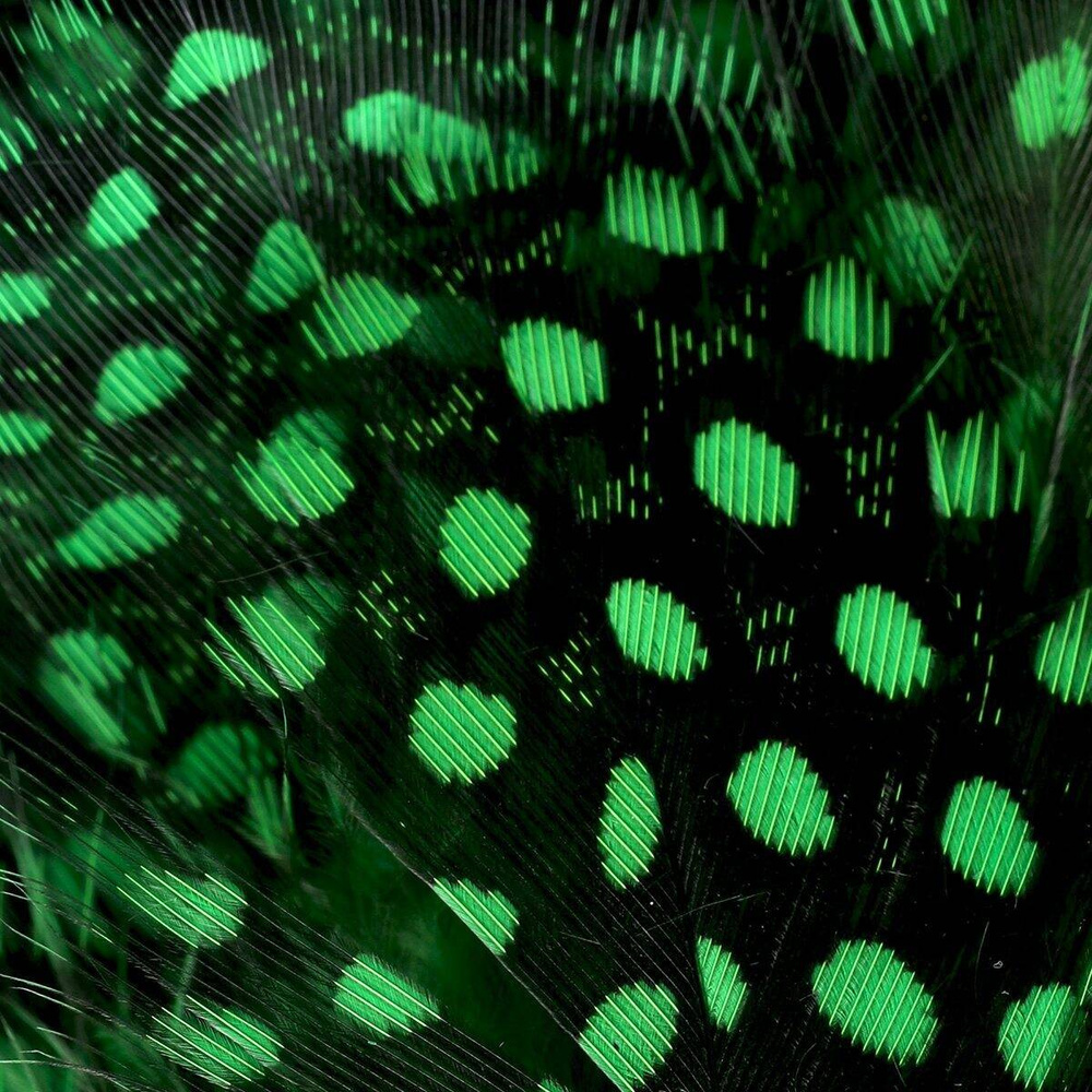 High. Green