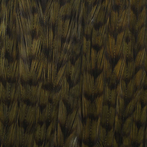 Ewing Grizzly Whole Capes