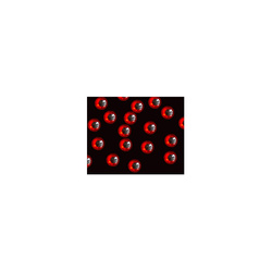 Bindögon FFGene Prismatic 3D Eyes