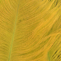 Wapsi Ostrich Marabou