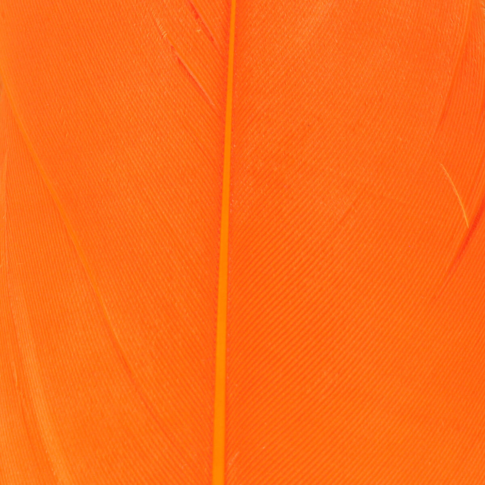 Fl. Orange