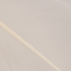 Wapsi Goose Shoulders