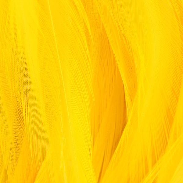 Hareline uppbundna kinesiska tuppsadelfjädrar 5-7