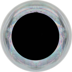 FFGene Soft 3D- Eyes