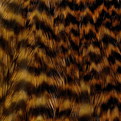 Wapsi Grizzly hönsnacke
