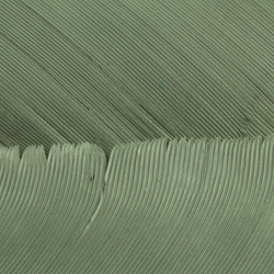 Hareline kalkonbiots