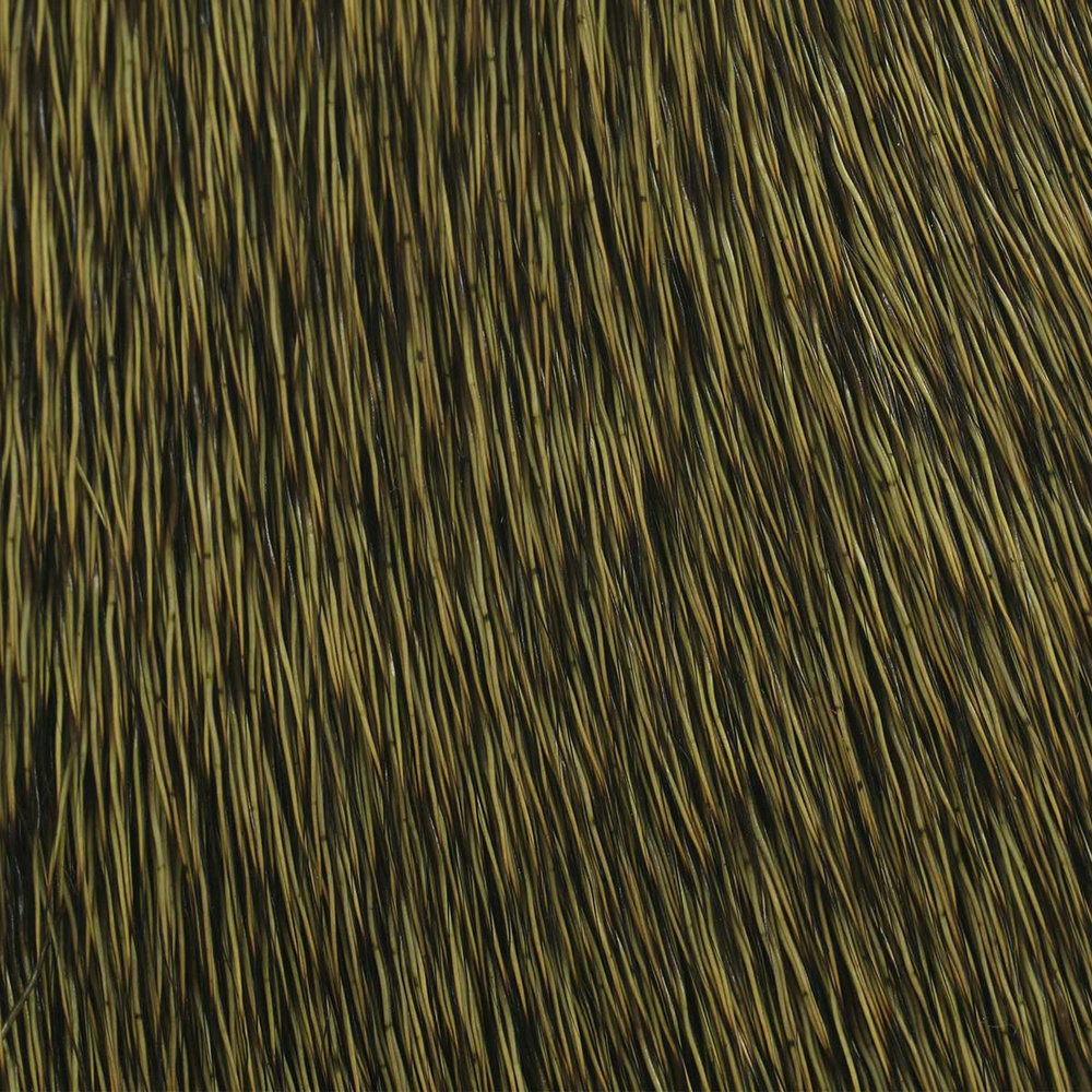 dark olive
