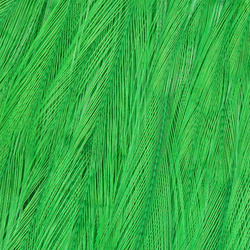 Wapsi Chinese Streamer Rooster Neck