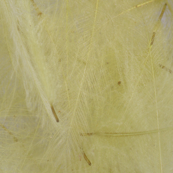 FFGene CDC Feathers color 1 gr