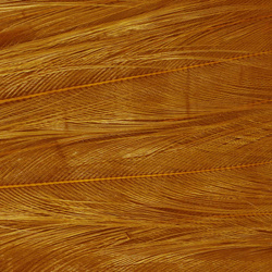 Ewing Deceiver Patch Dyed