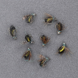 T.B Emerging Peacock Caddis