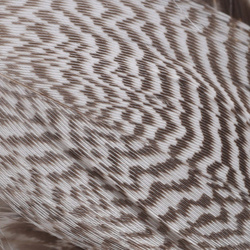 Spirit River UV2 Teal Flank