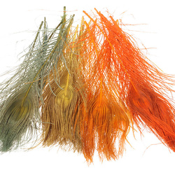 FFGene Peacock Eye Bleached