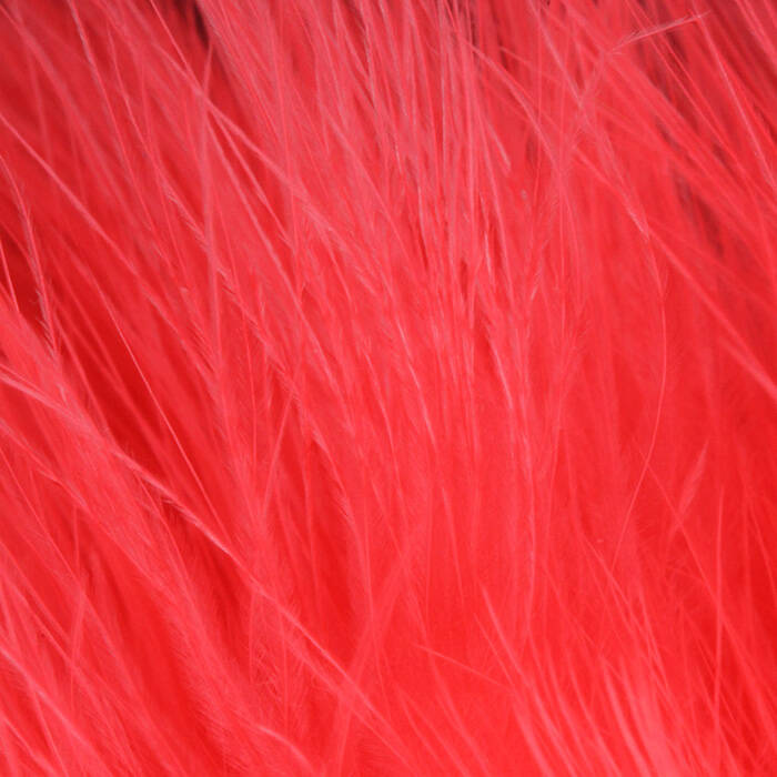 Fl. Pink