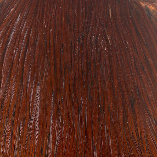 FFGene India Cock Capes class A