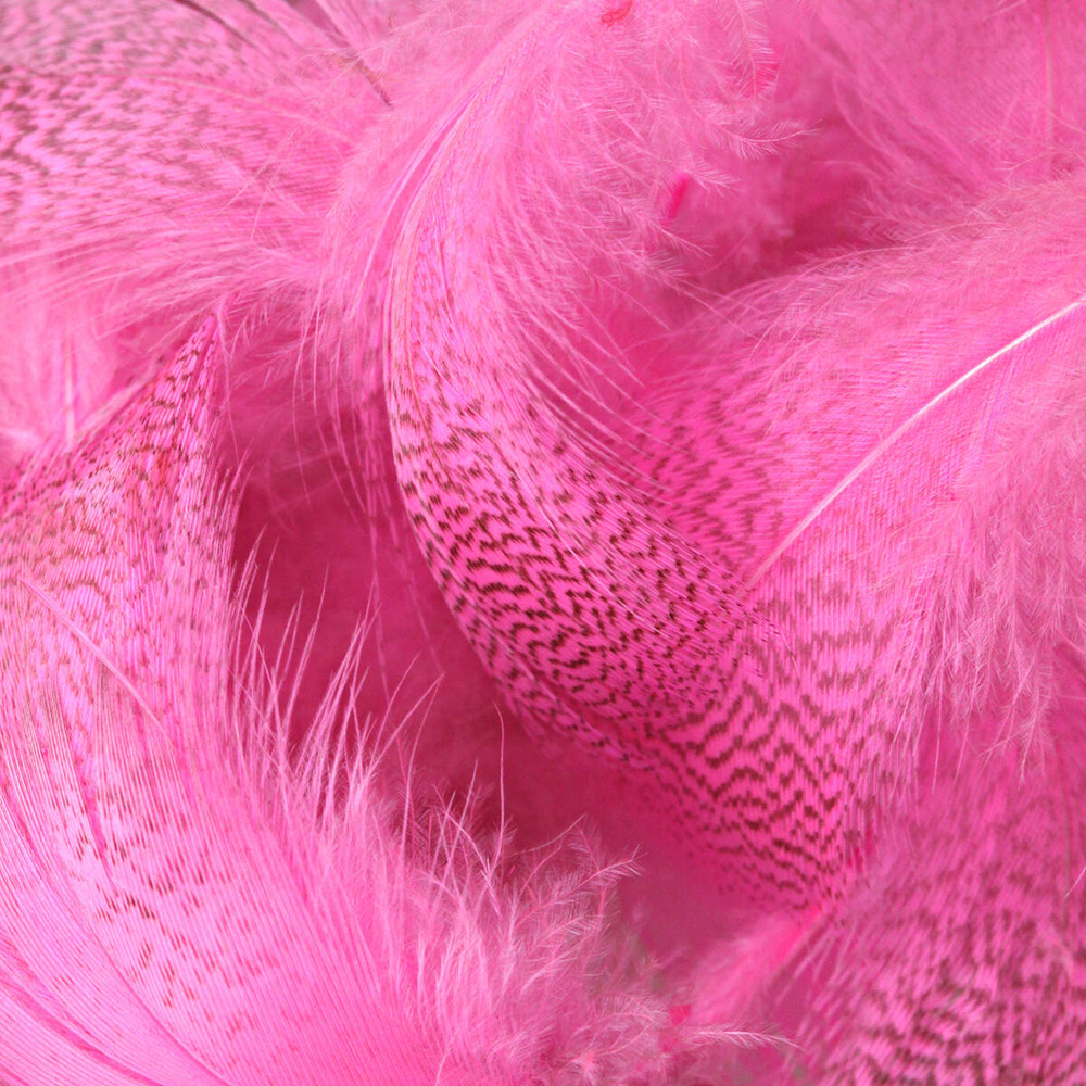 Hot Pink