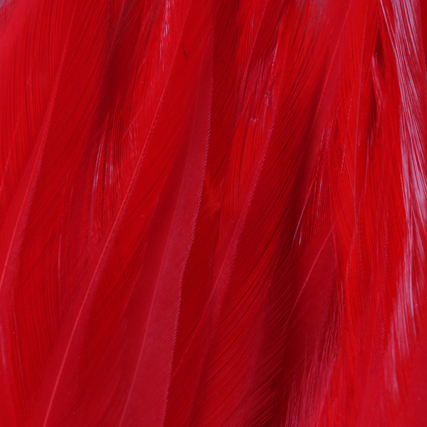 FFGene Strung Saddles Hackle