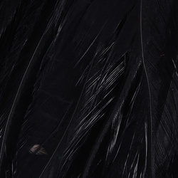 Hareline Strung Chinese 5-7 Saddle