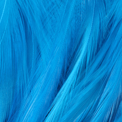 Hareline Strung Chinese 5-7 Saddle