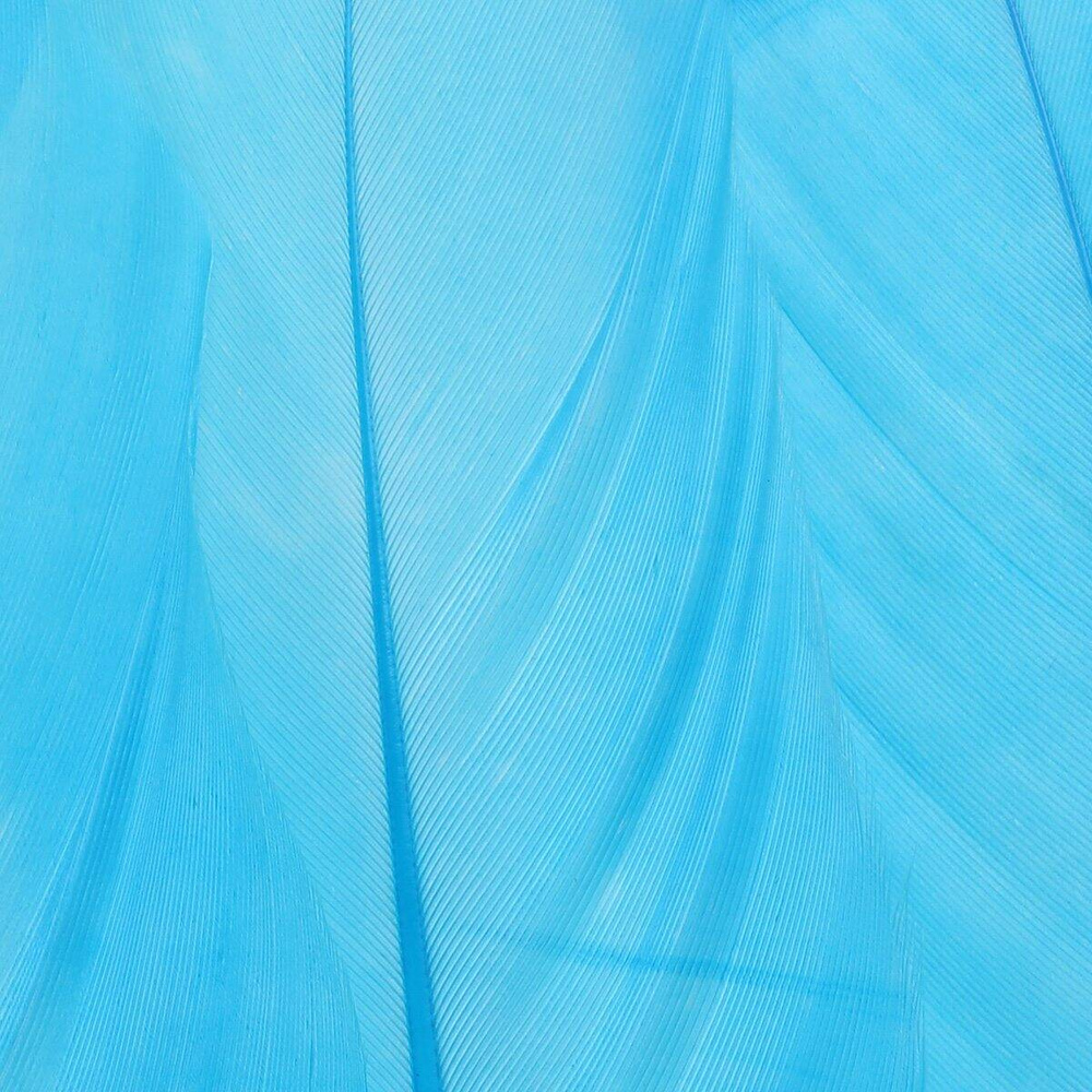 Teal Blue