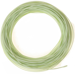 Fluglina Negnon Omega Orionis ULT Presentation