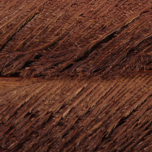 FFGene Peacock Sword Bleached