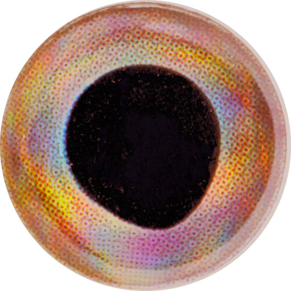 Bindögon FFGene FF Gene Living 3-D Eyes