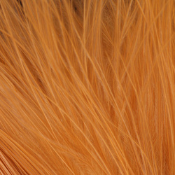 FFGene Wooly Bugger Maraboufjädrar (Blood Quill) (7-10 cm)