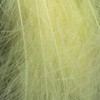 Ginger