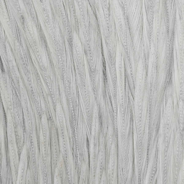 Wapsi Dry Fly Neck Select Sections Butt