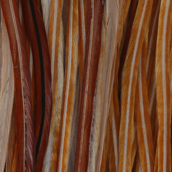 Andningsvadare Taimen Expert