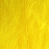 Fl. Yellow