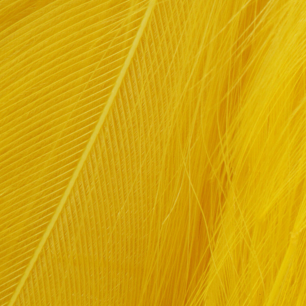 Brt. Yellow