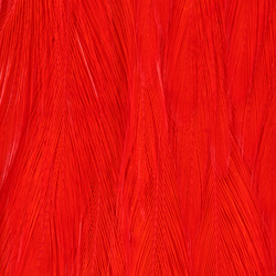 Wapsi Chinese Streamer Rooster Neck
