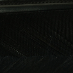 Hareline Turkey Biot Quills