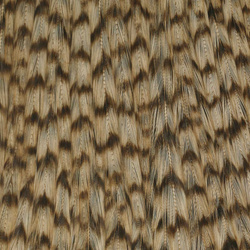 Ewing Grizzly Whole Capes