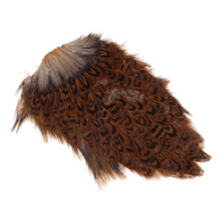 FFGene India Hen Speckled Saddles