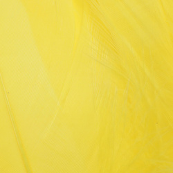 FFGene Goose Shoulders