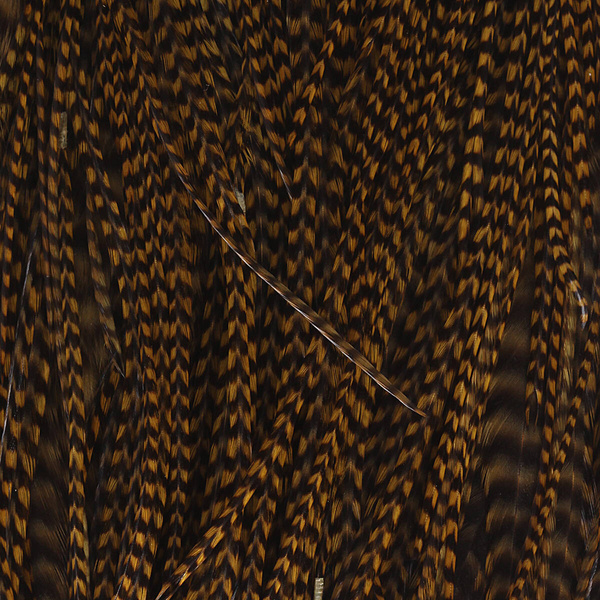Keough Hackle Dry Fly Saddles