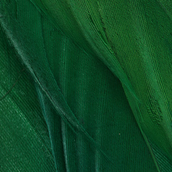 Wapsi Goose Shoulders