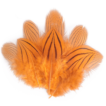 FFGene Silver Pheasant Feathers